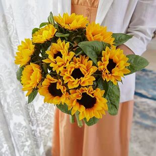 云南昆明基地直发向日葵鲜花包邮直供家庭用礼物速递同城花束