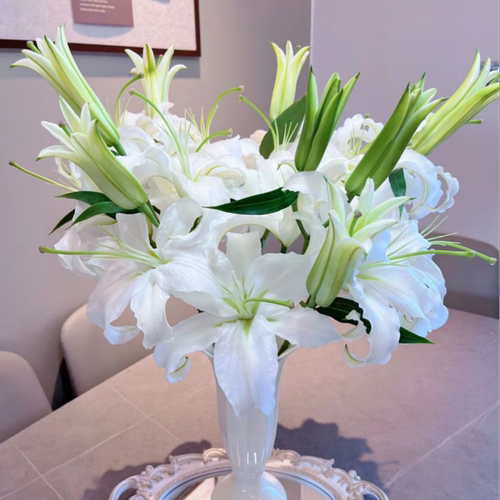 香水百合花多头鲜花花束批发云南昆明基地现采百合花水培水仙团购