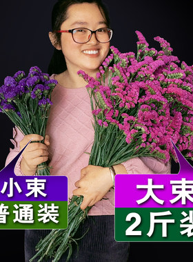 云南天然风干干花花束勿忘我真花装饰摆件客厅大束插花满天星批发