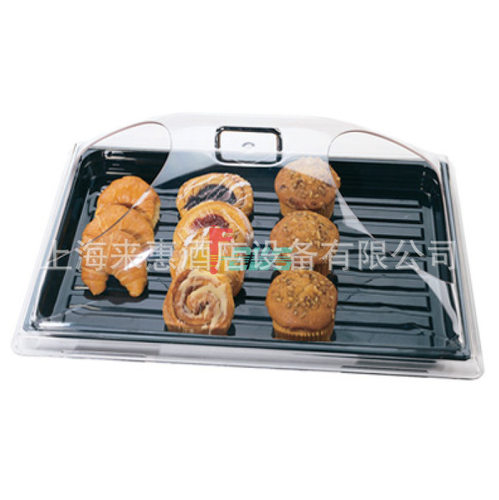 CAMBRO12x20带两个端口圆穹顶盖