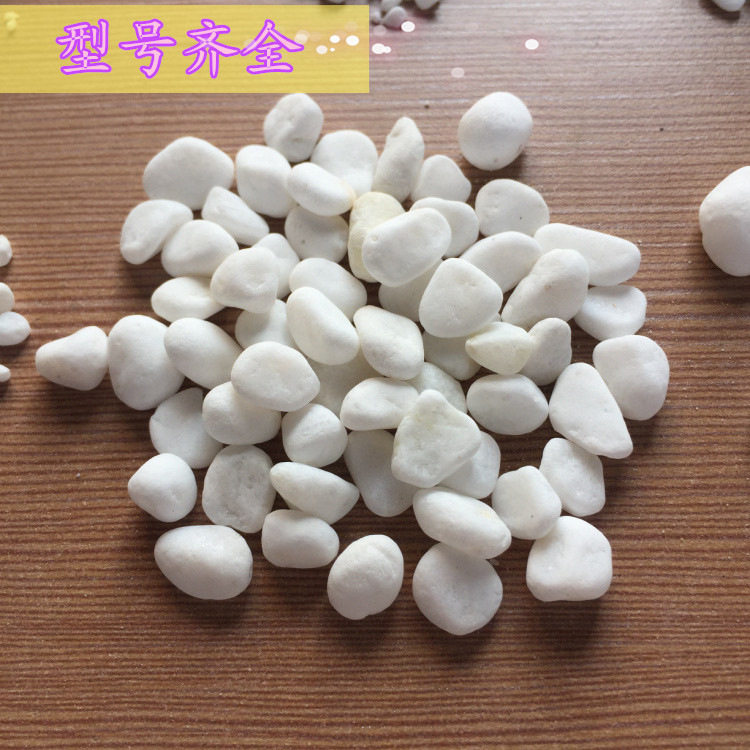 白色鹅卵石雪花白 多肉盆栽铺面机制雨花石鱼缸造景水池小石子