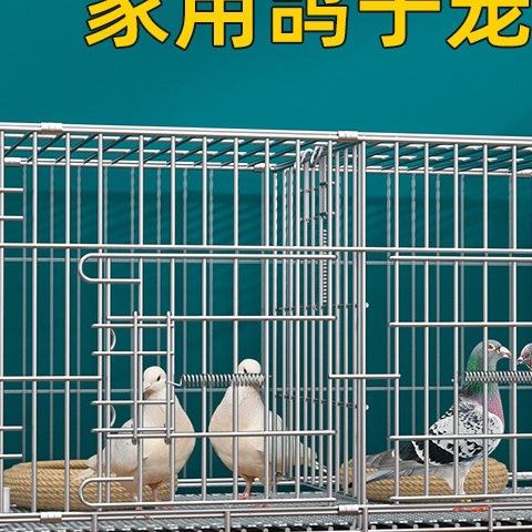 信鸽笼家用养殖笼折叠配对笼鸽子用品用具鸽笼加密双层