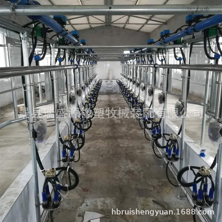 奶牛挤奶设备 电子计量自动脱杯挤奶机 挤奶机厂家安装