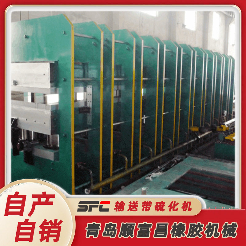 源头厂家货源 设计科学 自动推拉顶出 输送带硫化机 热压机