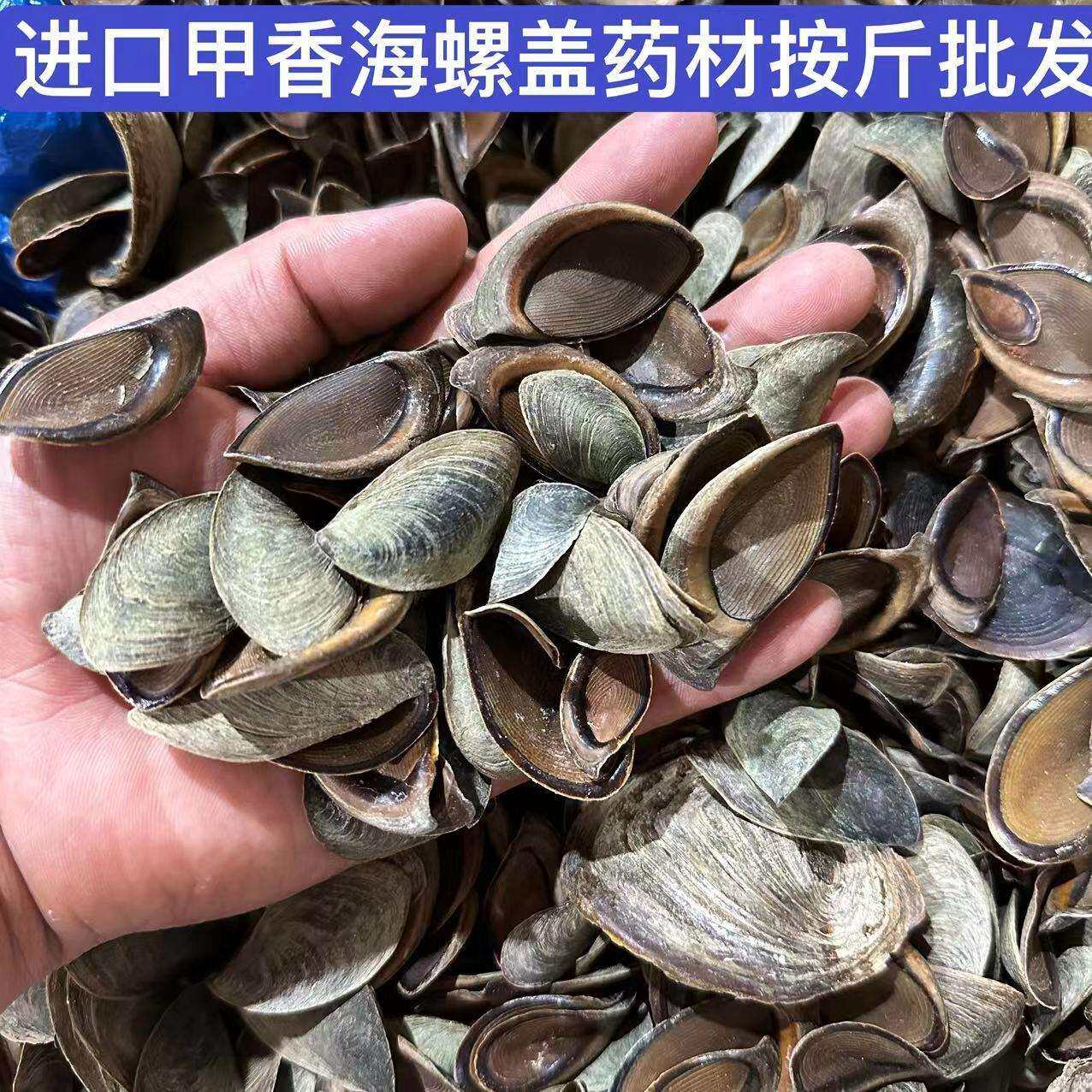 海螺盖天然进口甲香古法传统合香专用香料原料按斤