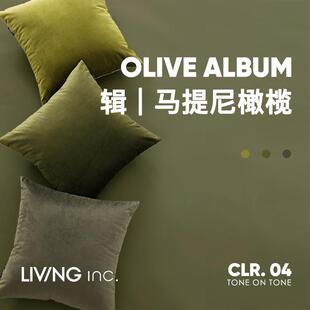 橄榄天鹅绒墨绿色抱枕沙发客厅轻奢复古靠枕床头靠垫柔软