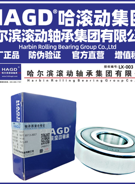 哈尔滨高速电机轴承6000 6001 6002 6003 6004 6005 6006ZZ/2RZP5