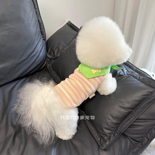 狗狗衣服春夏薄款学院风条纹背心透气宠物猫咪比熊泰迪带牵引扣