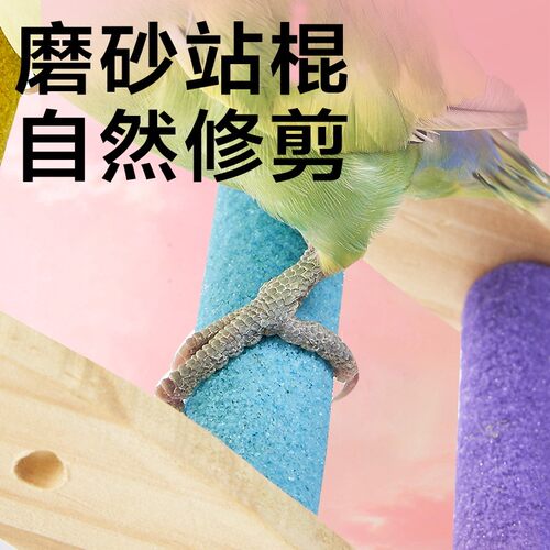 yee鹦鹉玩具彩虹爬梯站台攀爬绳玄凤牡丹虎皮专用磨爪啃咬站棍