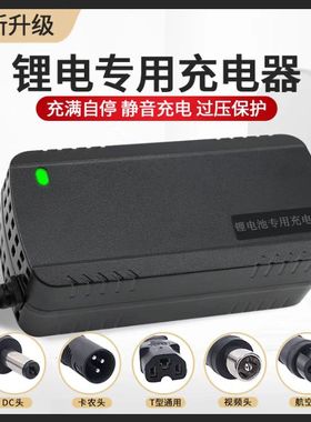 3.7V聚合物3串锂电池12.6V2A 5A12.6V10A 12V锂电池便携式充电器