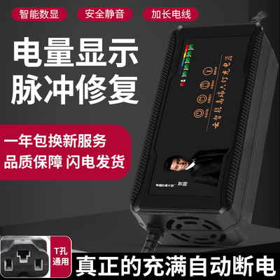 自动断电适用于凤凰电动车电瓶充电器48V12AH60V20AH72V30AH40AH5