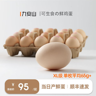 九安山XL级30枚 可生食鸡蛋新鲜富硒无菌蛋 寿喜烧日料顺丰 1950g