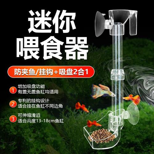 喂鱼投食器亚克力喂食器投食器
