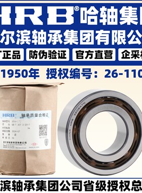 HRB 哈尔滨轴承3209ATN 3210ATN 3211ATN 角接触球轴承(双列)