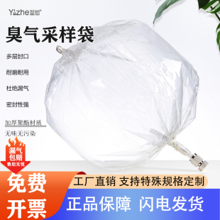 翌哲 有组织恶臭采气袋臭气采样袋 聚酯无臭袋污染源采样袋恶臭取样袋不锈钢接头10L