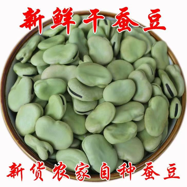 精选5斤新货青皮干蚕豆