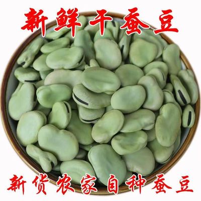 精选5斤新货青皮干蚕豆