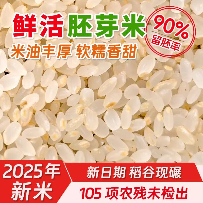 胚芽米2025年新米留胚大米东北粳米煮粥熬米油农家现磨圆粒米