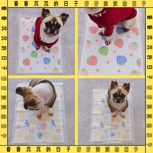 宠物尿垫狗狗印花尿片图案加厚超强吸水大中小型犬一次性尿布厕所