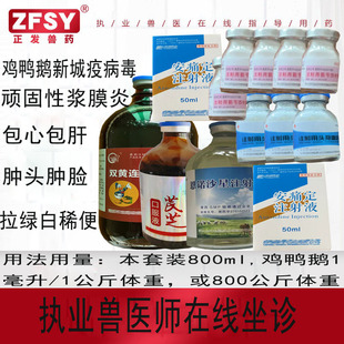 国标兽药双黄芪芝恩诺氨苄西林头孢安痛定注射液新城疫感冒支原体