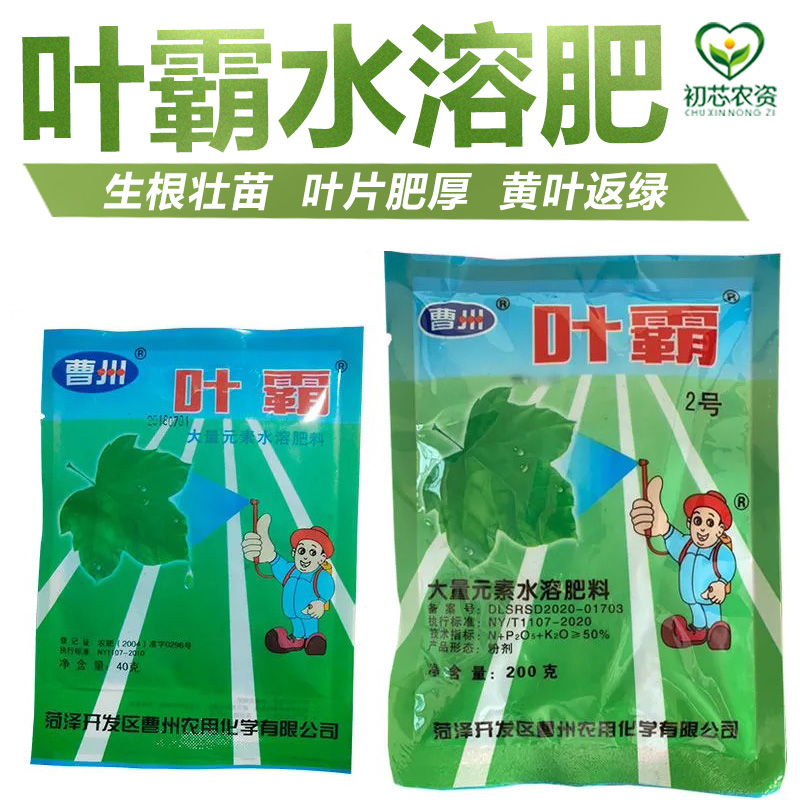 叶霸大量元素水溶肥花卉