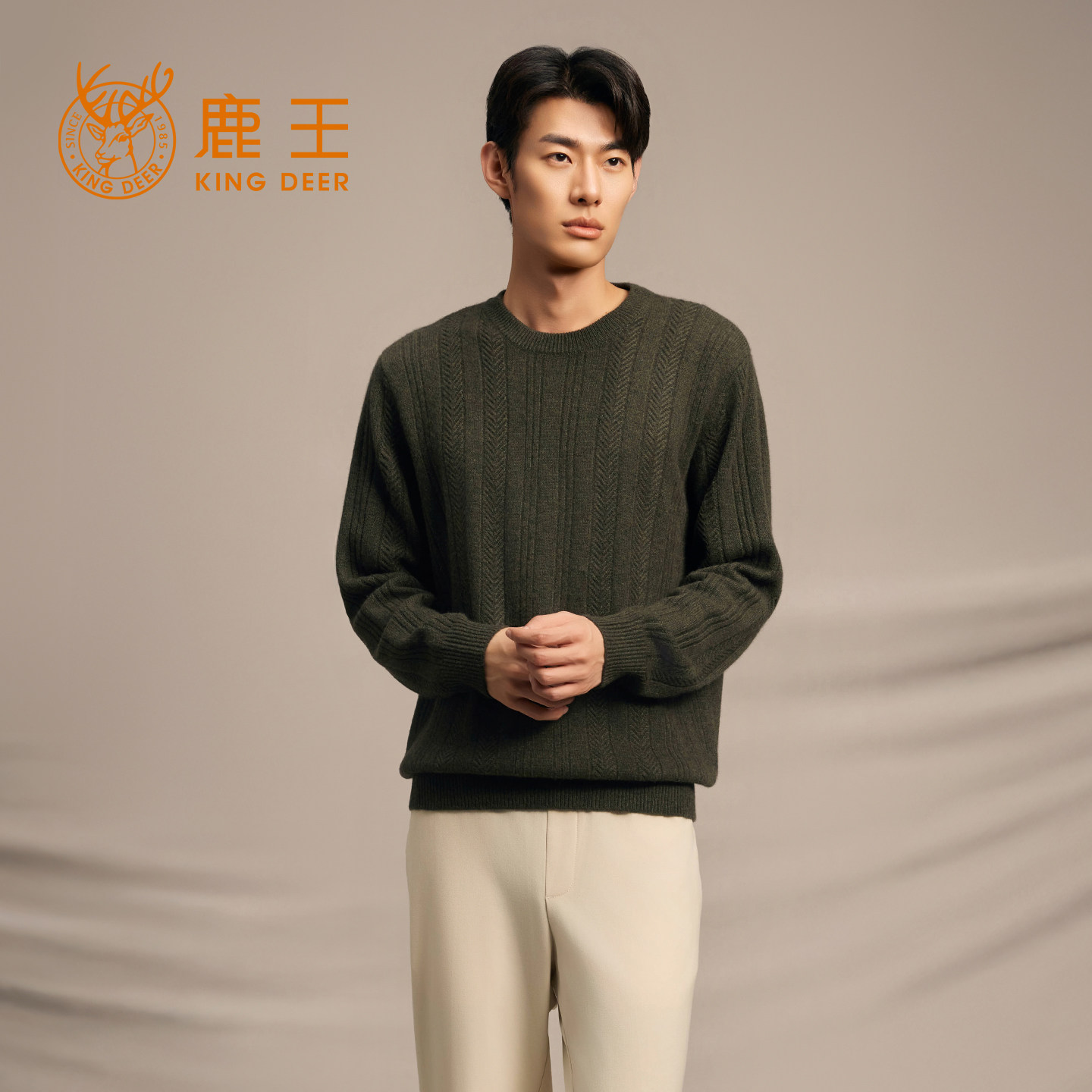 鹿王100%纯山羊绒衫男士圆领麻花纹理加厚休闲保暖针织衫春季新品