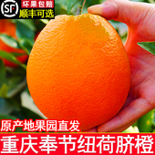 重庆奉节伦晚脐橙橙子新鲜当季 水果礼盒装 产地直秭发归鲜甜细腻