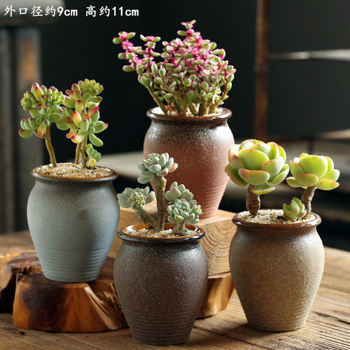 复古复古陶瓷老桩花盆