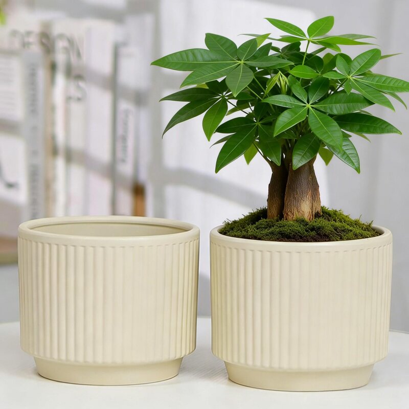 新款桌面简约竖纹陶瓷花盆盆栽绿植装饰发财树花盆带托盘绿萝种植