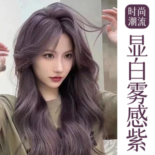 雾感紫染发剂膏纯植物天然无刺激正品流行泡泡沫男女自己在家免漂