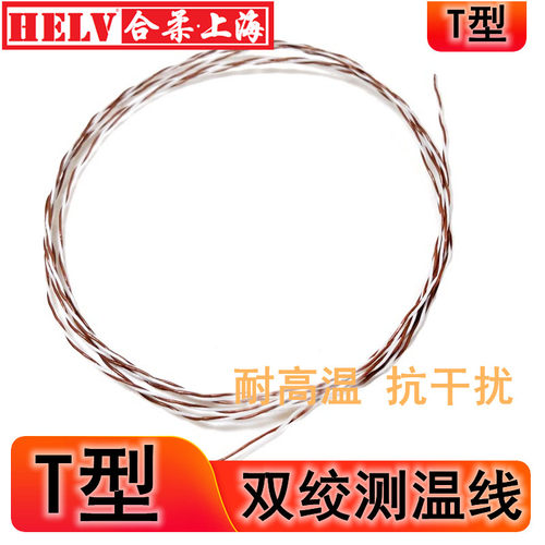 T型双绞测温线 T型四氟热电偶线 TAFF 2*0.2mm T型细双绞热电偶