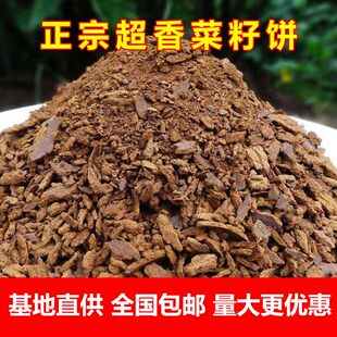 菜籽饼粕现榨菜籽油枯粉饼批发菜子饼肥料花肥野钓鱼打窝饵料