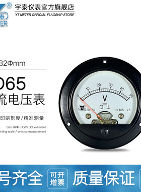 SD65直流电压表指针仪表