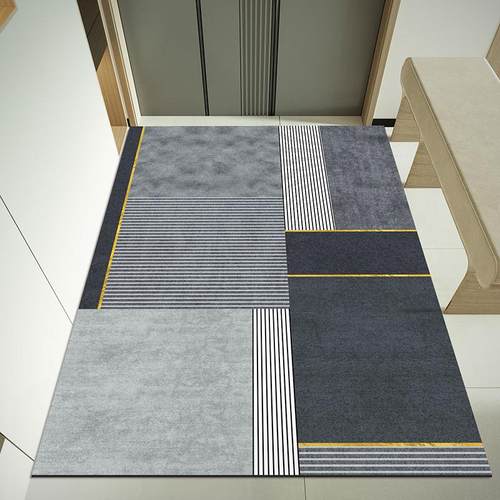 玄关丝圈轻奢网红地毯进门垫子