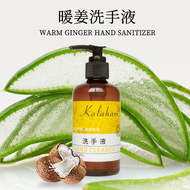 KALAHARI家用洗手液220g芦荟滋润保湿酒店洗发水沐浴露洗护套装