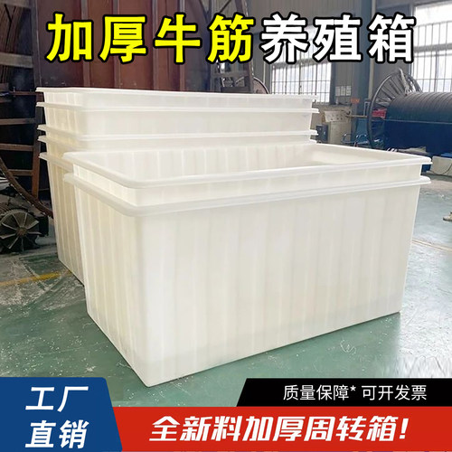 加厚牛筋塑料养殖箱长方形超大号