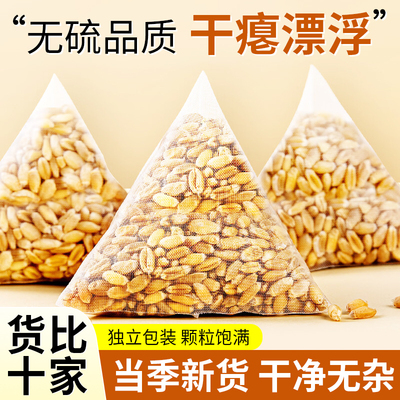 【热销爆款】浮小麦止汗茶