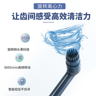 直供家用新款 旋转牙刷USB充电款 牙刷2档智能成人电动牙刷爆款
