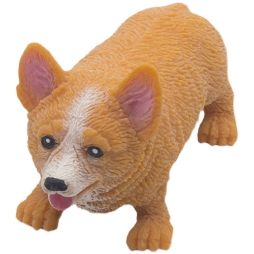 Творческая декомпрессия Corgi Dog Lala Стреляет в Haba Dog