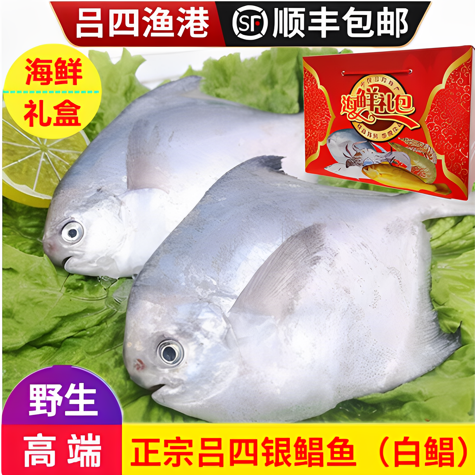 吕四鲳鱼新鲜特大东海银鲳鱼冷冻正宗野生大白昌鱼平鱼海鲜特产