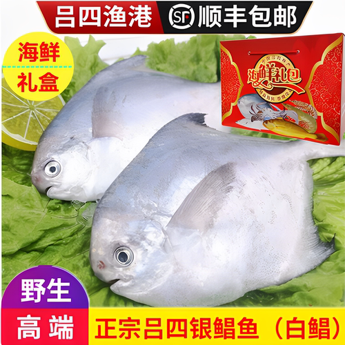 吕四银鲳鱼野生新鲜冷冻海鲜礼盒