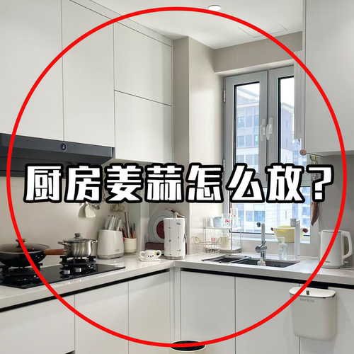 多功能多层葱姜蒜收纳盒生姜大蒜收纳免打孔吸盘置物架壁挂脸盆架