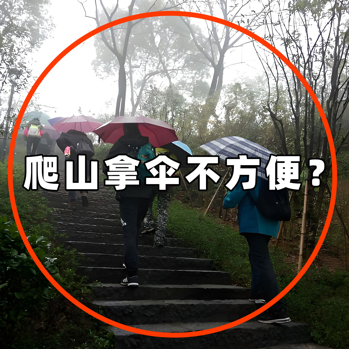 外出登山必备神器八件套旅游便携式用品儿童出行雨衣旅行洗漱套装