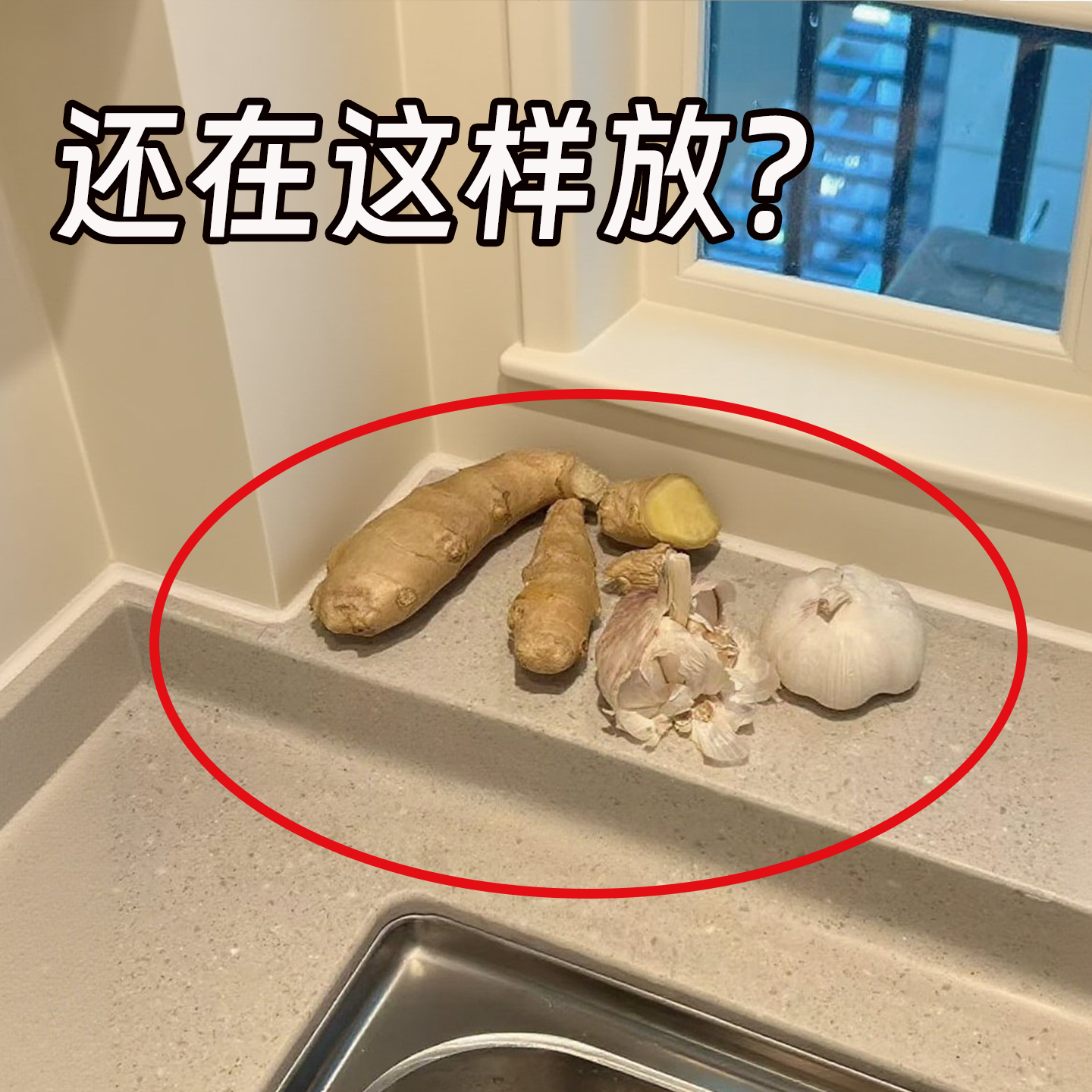 葱姜蒜挂收纳盒辣椒鸡蛋厨房吸盘壁挂调料品置物架挂篮神器收纳筐,收纳整理,收纳筐,淘宝优惠券,粉丝福利购,淘宝优惠卷