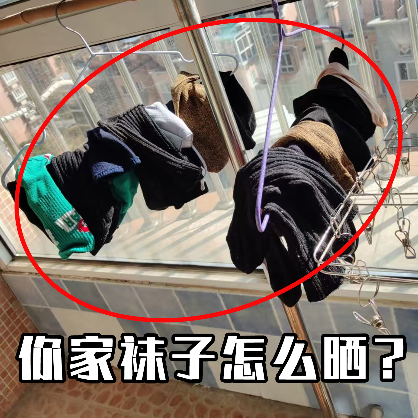 吸盘袜子架多功能折叠晾晒架多夹子内衣晾衣架晾晒神器配菜备菜盘