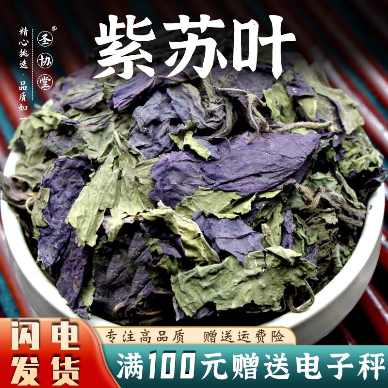 苏叶50-500克 中药材包邮当季新货 苏子叶红紫苏紫苏中药材紫苏叶
