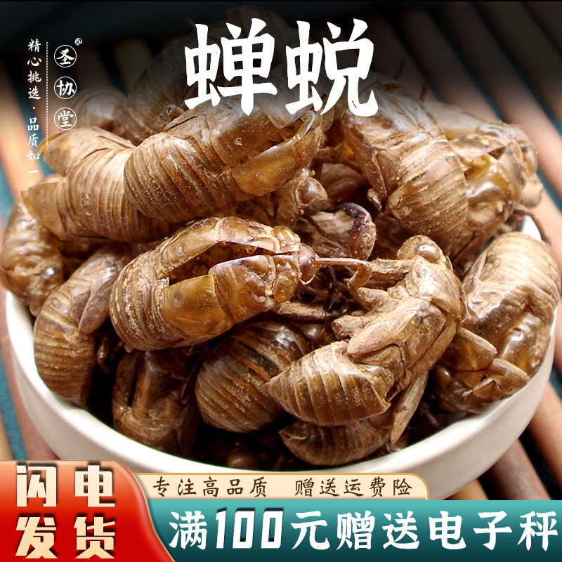 蝉蜕50-100克包邮新货中药材金蝉壳蝉衣知了皮虫蜕水洗大个无土碎