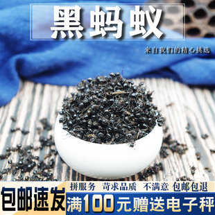 新品 长白山大黑蚂蚁 干货 免费磨黑蚂蚁粉 干蚁 包邮 养生泡酒 500g