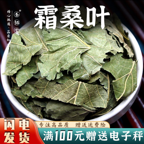 桑叶干50-500克包邮中药材新货