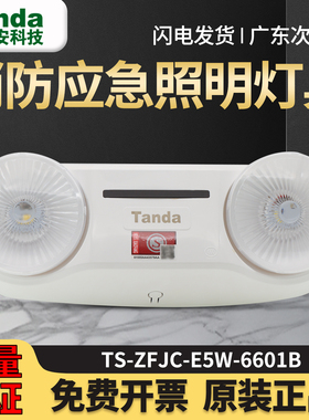 泰和安 E5W-6601B 6602A疏散应急照明壁挂双头灯集中应急灯36V